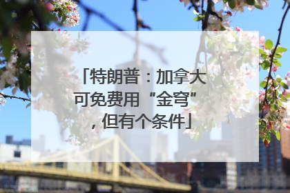 特朗普：加拿大可免费用“金穹”，但有个条件