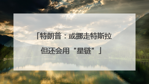 特朗普：或挪走特斯拉 但还会用“星链”