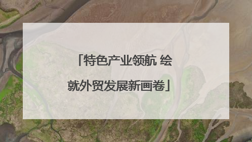 特色产业领航 绘就外贸发展新画卷