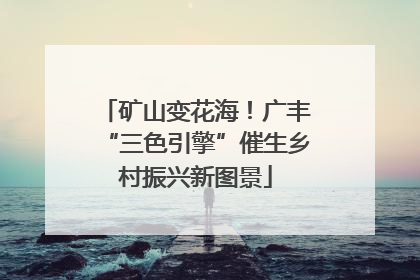 矿山变花海！广丰“三色引擎”催生乡村振兴新图景
