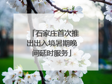 石家庄首次推出出入境暑期晚间延时服务