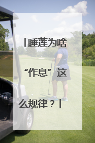 睡莲为啥“作息”这么规律？