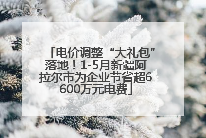 电价调整“大礼包”落地！1-5月新疆阿拉尔市为企业节省超6600万元电费