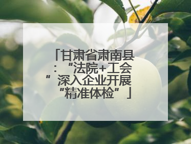 甘肃省肃南县：“法院+工会”深入企业开展“精准体检”