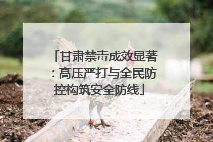 甘肃禁毒成效显著：高压严打与全民防控构筑安全防线