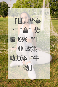甘肃华亭：“畜”势腾飞兴“牛”业 政策助力添“牛”劲