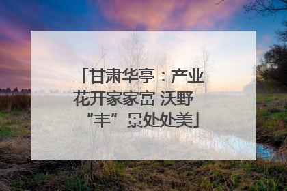 甘肃华亭：产业花开家家富 沃野“丰”景处处美