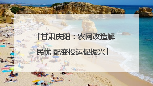 甘肃庆阳：农网改造解民忧 配变投运促振兴