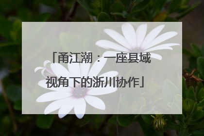甬江潮：一座县域视角下的浙川协作