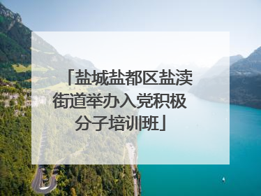 盐城盐都区盐渎街道举办入党积极分子培训班