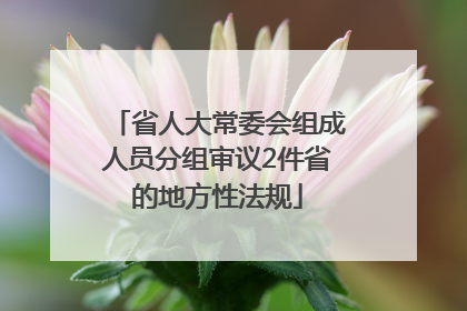 省人大常委会组成人员分组审议2件省的地方性法规