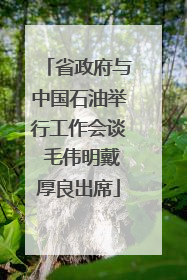 省政府与中国石油举行工作会谈 毛伟明戴厚良出席