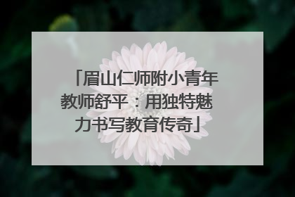 眉山仁师附小青年教师舒平：用独特魅力书写教育传奇