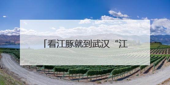 看江豚就到武汉“江豚湾”，新洲双柳打造“微笑天使”新地标