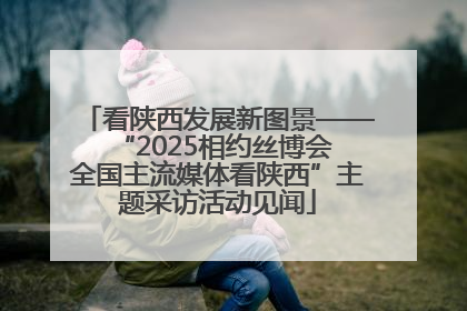 看陕西发展新图景——“2025相约丝博会 全国主流媒体看陕西”主题采访活动见闻