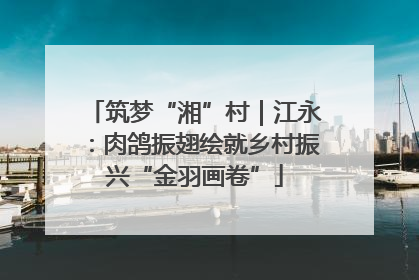 筑梦“湘”村｜江永：肉鸽振翅绘就乡村振兴“金羽画卷”