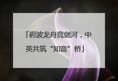 碧波龙舟竞剑河，中英共筑“知音”桥