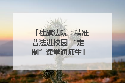社旗法院：精准普法进校园 “定制”课堂润师生