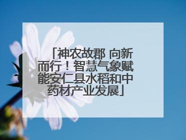 神农故郡 向新而行！智慧气象赋能安仁县水稻和中药材产业发展