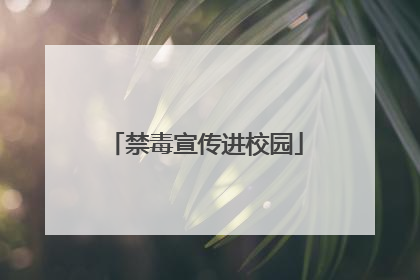 禁毒宣传进校园