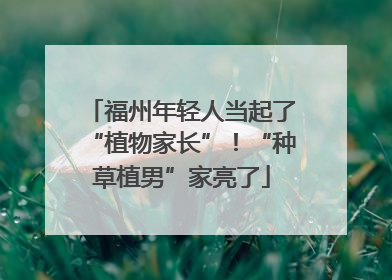 福州年轻人当起了“植物家长”！“种草植男”家亮了