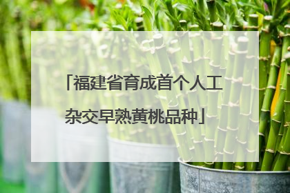 福建省育成首个人工杂交早熟黄桃品种
