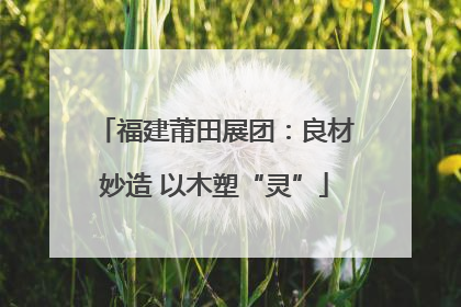 福建莆田展团：良材妙造 以木塑“灵”
