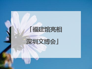 福建馆亮相深圳文博会