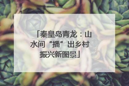 秦皇岛青龙：山水间“播”出乡村振兴新图景