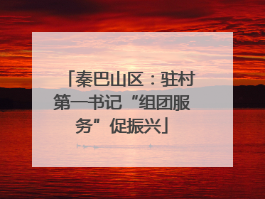 秦巴山区：驻村第一书记“组团服务”促振兴