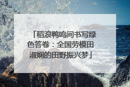 稻浪鸭鸣间书写绿色答卷：全国劳模田淑娴的田野振兴梦