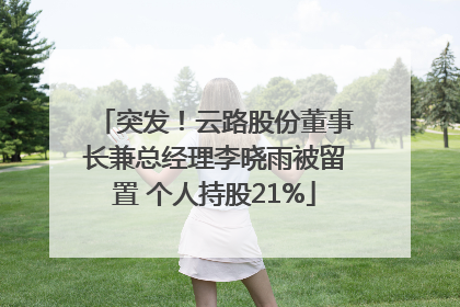 突发！云路股份董事长兼总经理李晓雨被留置 个人持股21%