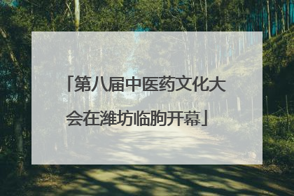 第八届中医药文化大会在潍坊临朐开幕