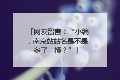 网友留言：“小编，南京站站名是不是多了一横？”