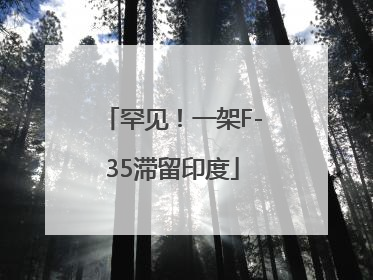 罕见！一架F-35滞留印度