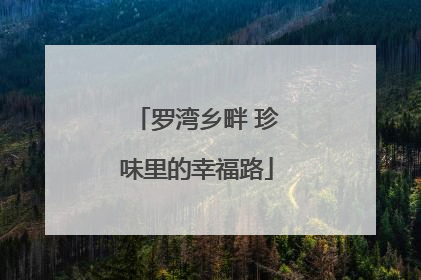 罗湾乡畔 珍味里的幸福路