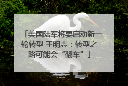 美国陆军将要启动新一轮转型 王明志：转型之路可能会“翻车”