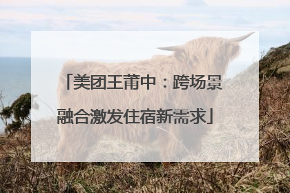 美团王莆中：跨场景融合激发住宿新需求