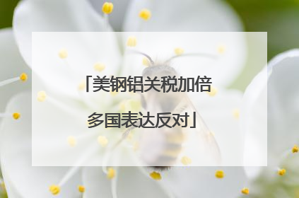 美钢铝关税加倍 多国表达反对