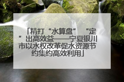 精打“水算盘” “定”出高效益——宁夏银川市以水权改革促水资源节约集约高效利用