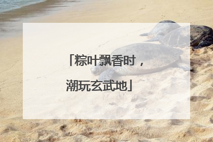 粽叶飘香时，潮玩玄武地