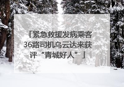 紧急救援发病乘客 36路司机乌云达来获评“青城好人”