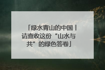 绿水青山的中国丨请查收这份“山水与共”的绿色答卷