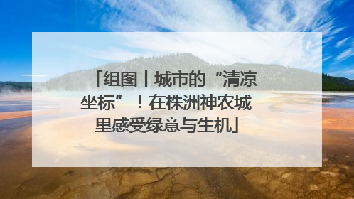 组图丨城市的“清凉坐标”！在株洲神农城里感受绿意与生机