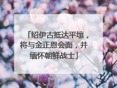 绍伊古抵达平壤，将与金正恩会面，并缅怀朝鲜战士