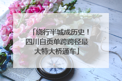 绕行半城成历史！四川自贡单跨跨径最大特大桥通车