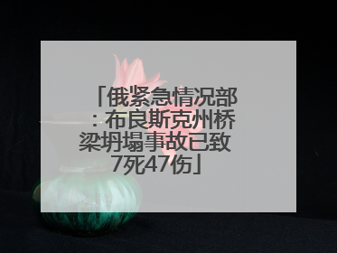 俄紧急情况部：布良斯克州桥梁坍塌事故已致7死47伤
