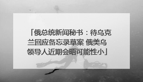 俄总统新闻秘书：待乌克兰回应备忘录草案 俄美乌领导人近期会晤可能性小