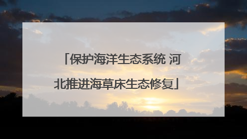 保护海洋生态系统 河北推进海草床生态修复