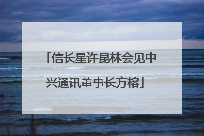 信长星许昆林会见中兴通讯董事长方榕